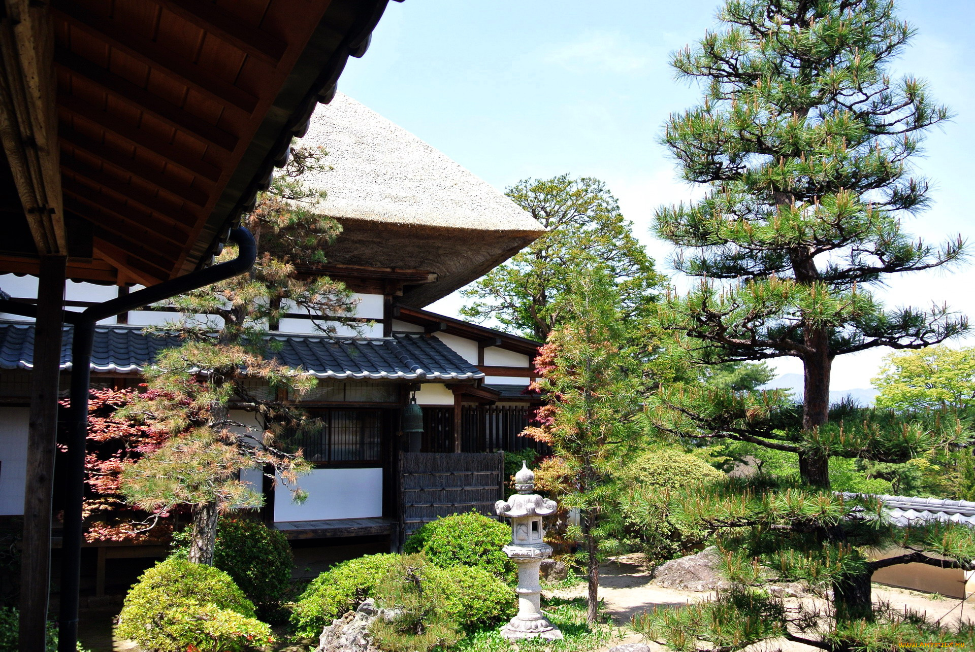 города, -, здания, , дома, деревья, дом, Япония