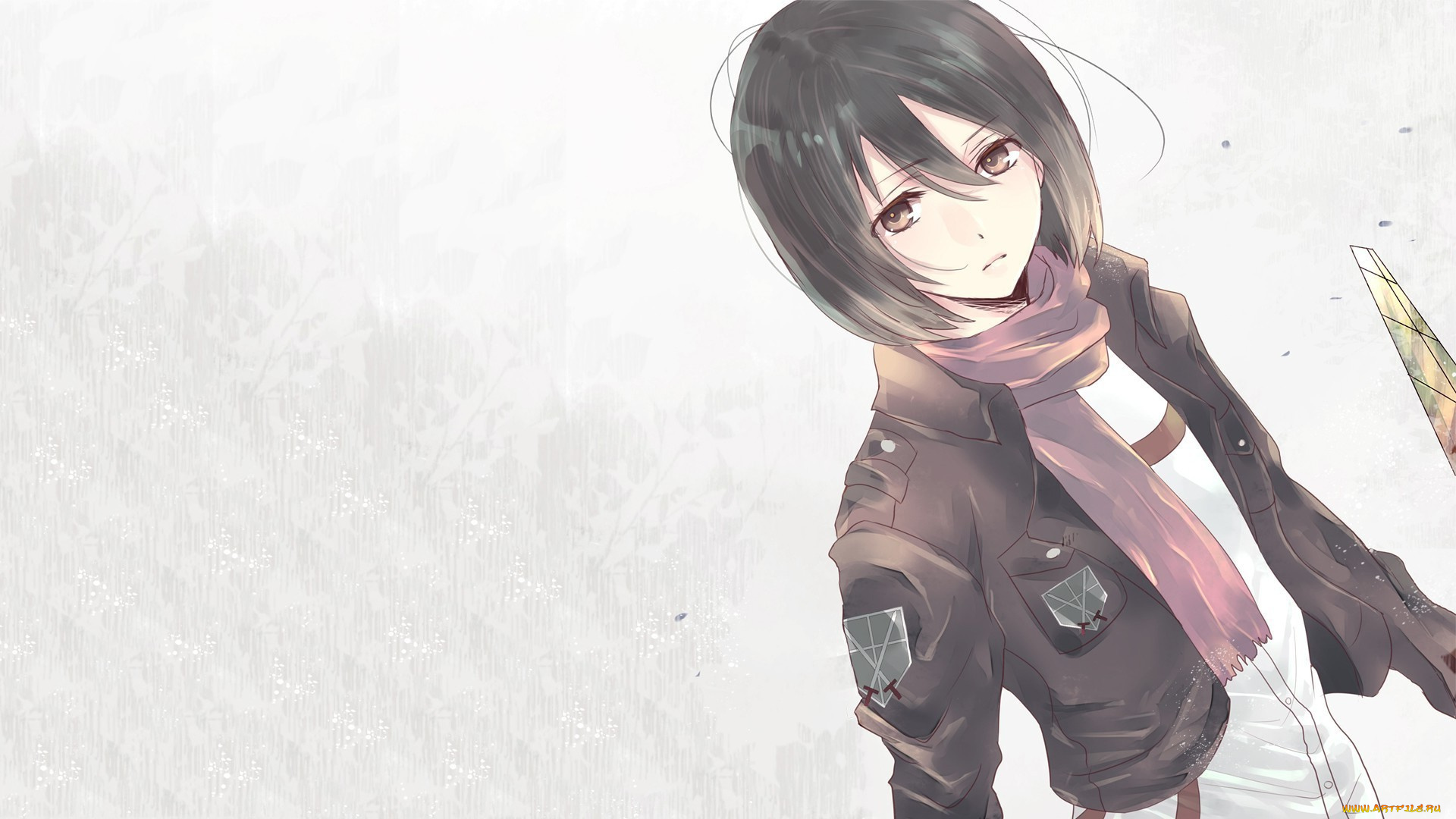 аниме, shingeki, no, kyojin, attack, on, titan, anime, mikasa, ackerman