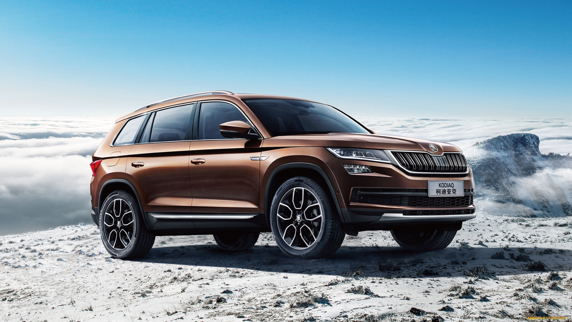 автомобили, skoda