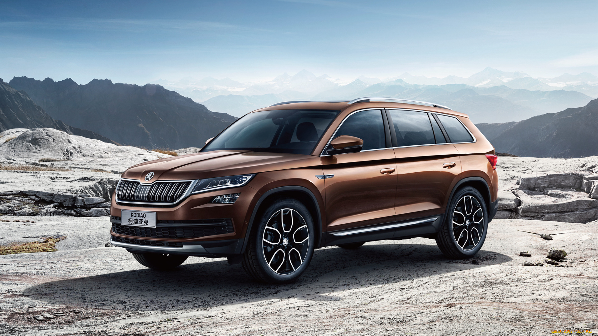 автомобили, skoda