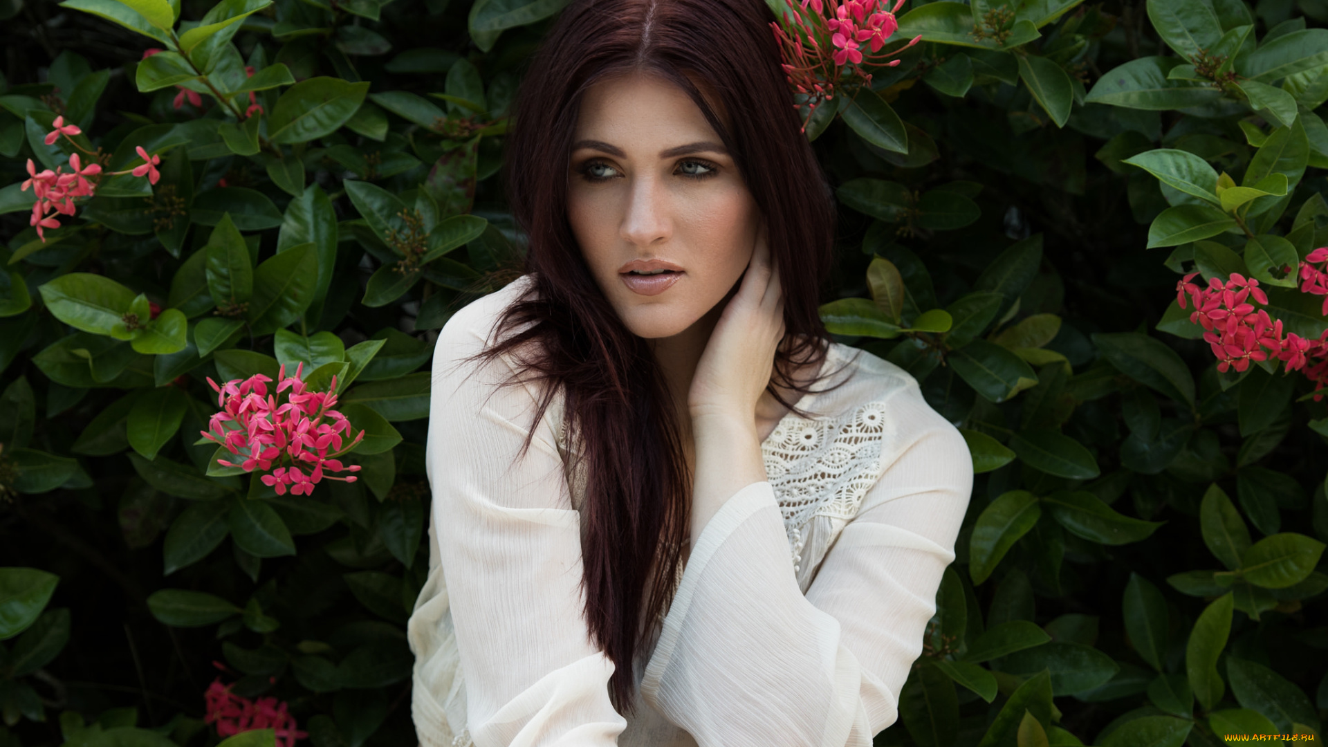 девушки, -unsort, , брюнетки, , шатенки, лицо, взгляд