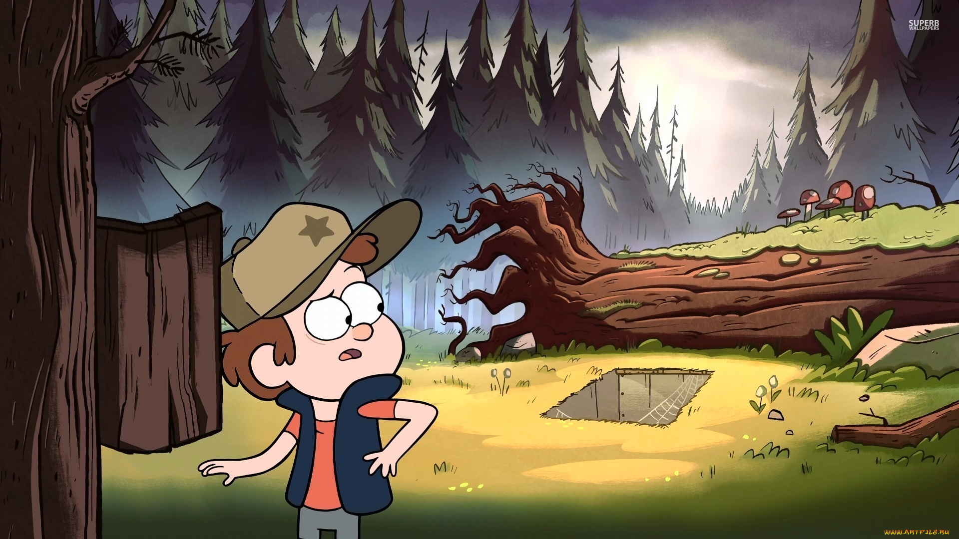 мультфильмы, gravity, falls, гравити, фолз, dipper, gravity, falls, лес