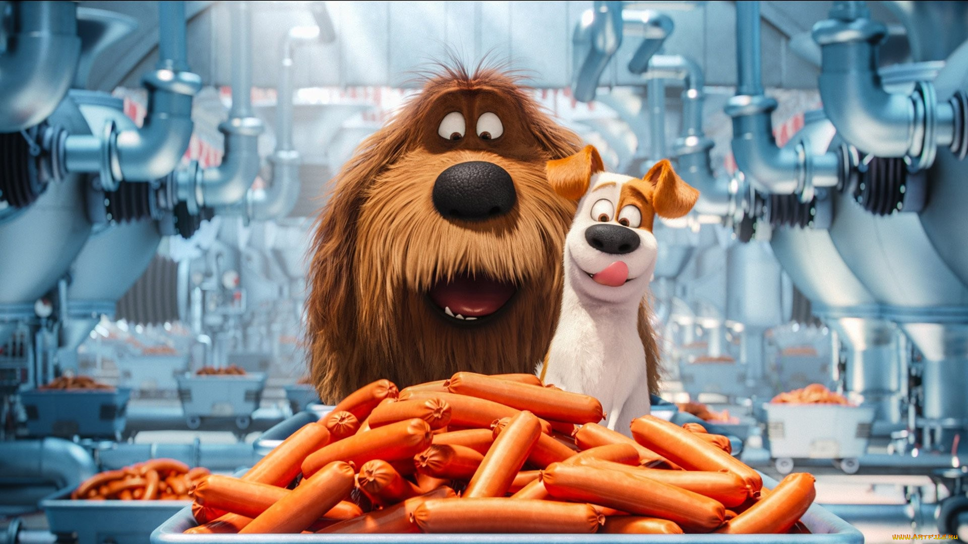 мультфильмы, the, secret, life, of, pets, sausage, party, dog, manufactures, pet, graphic, animation, the, secret, life, of, pets, comedy, duke, cartoon