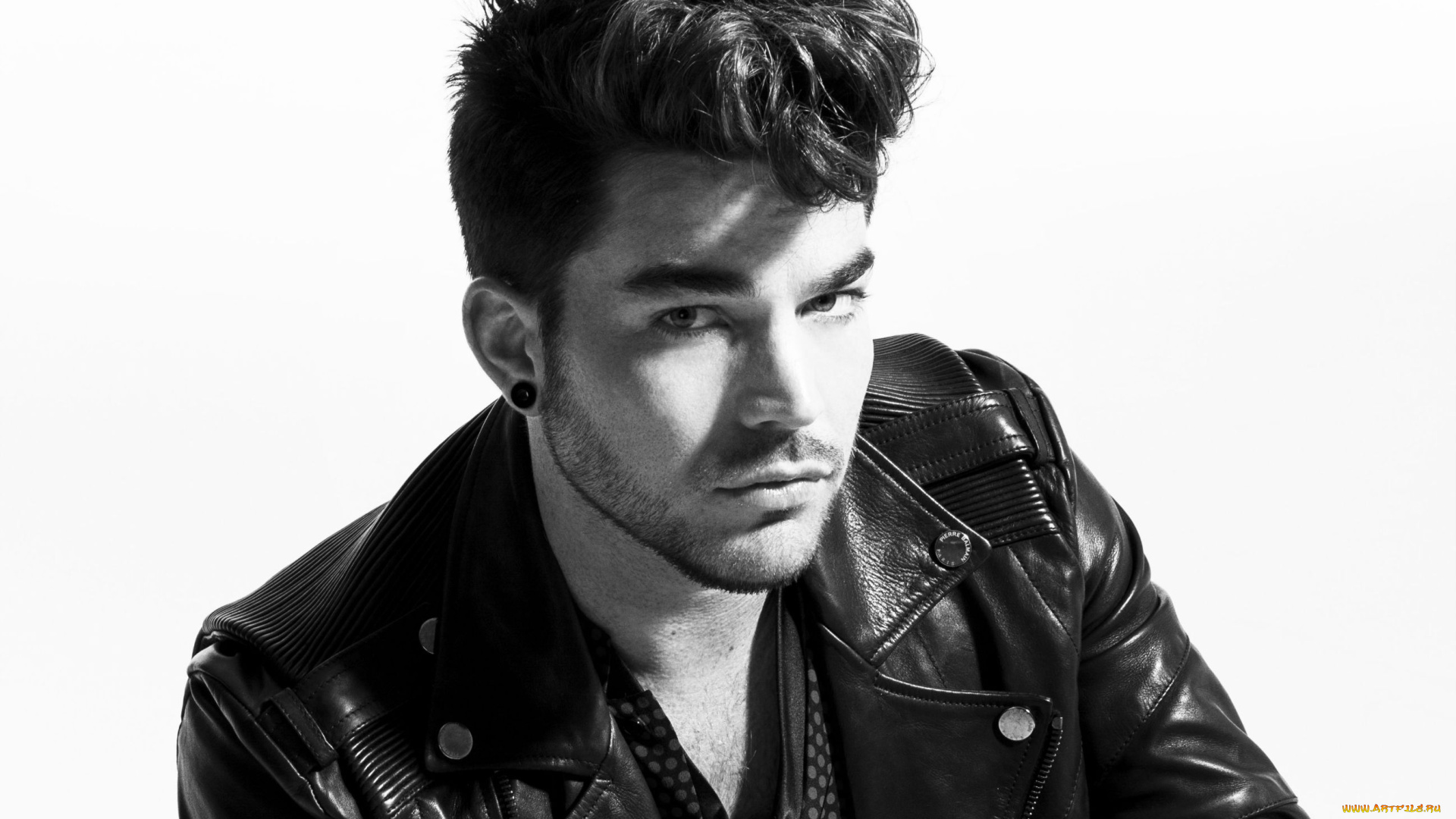 музыка, adam, lambert, белый, стиль, черный, adam, lambert
