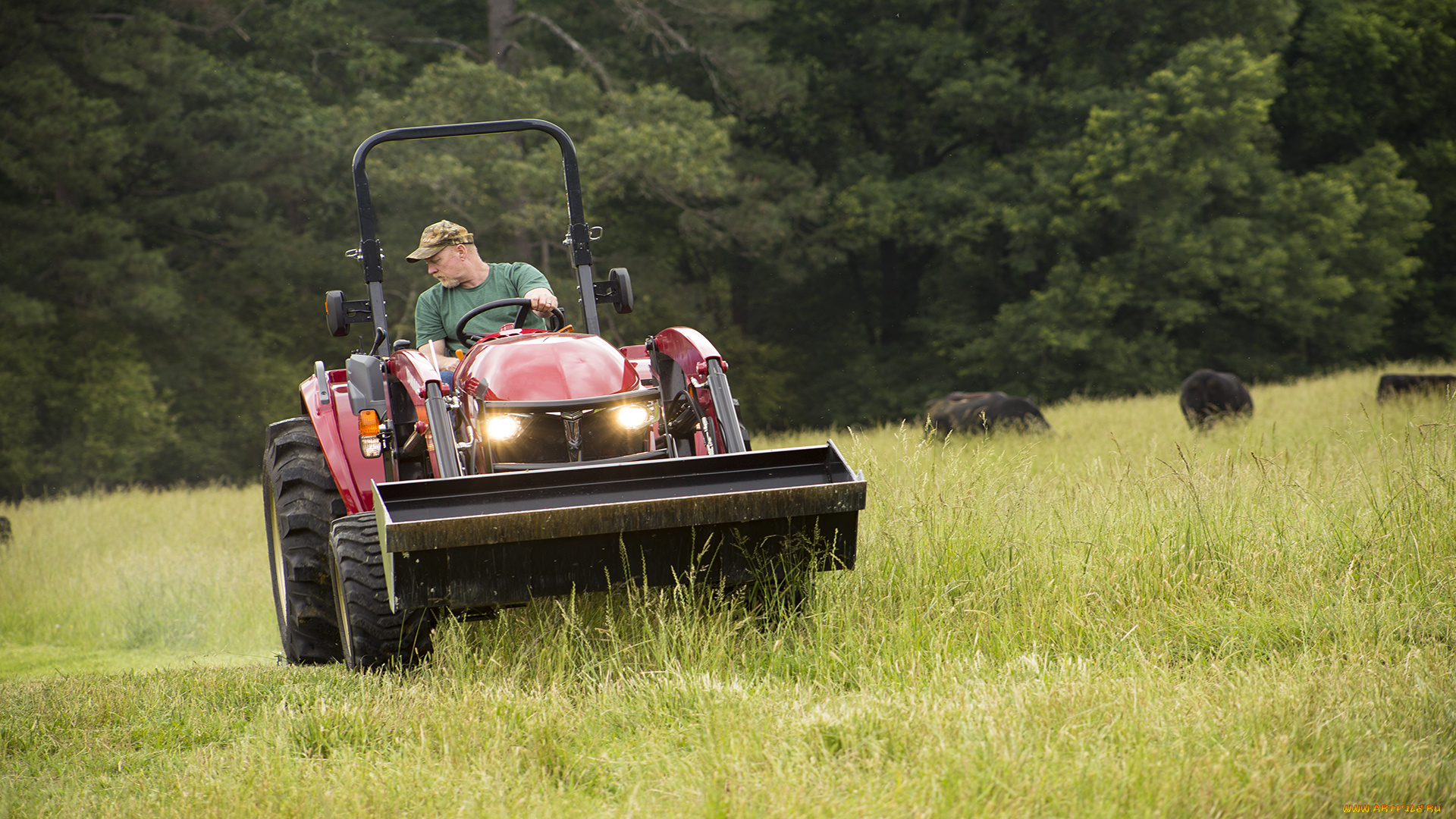 техника, фронтальные, погрузчики, yanmar