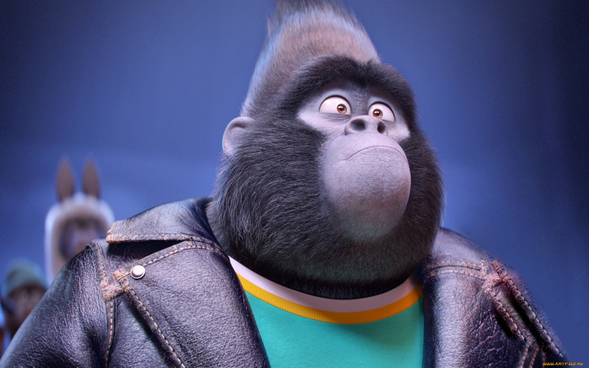 мультфильмы, sing, official, wallpaper, taron, egerton, animal, mountain, gorilla, johnny, film, universal, pictures, eyes, illumination, entertainment