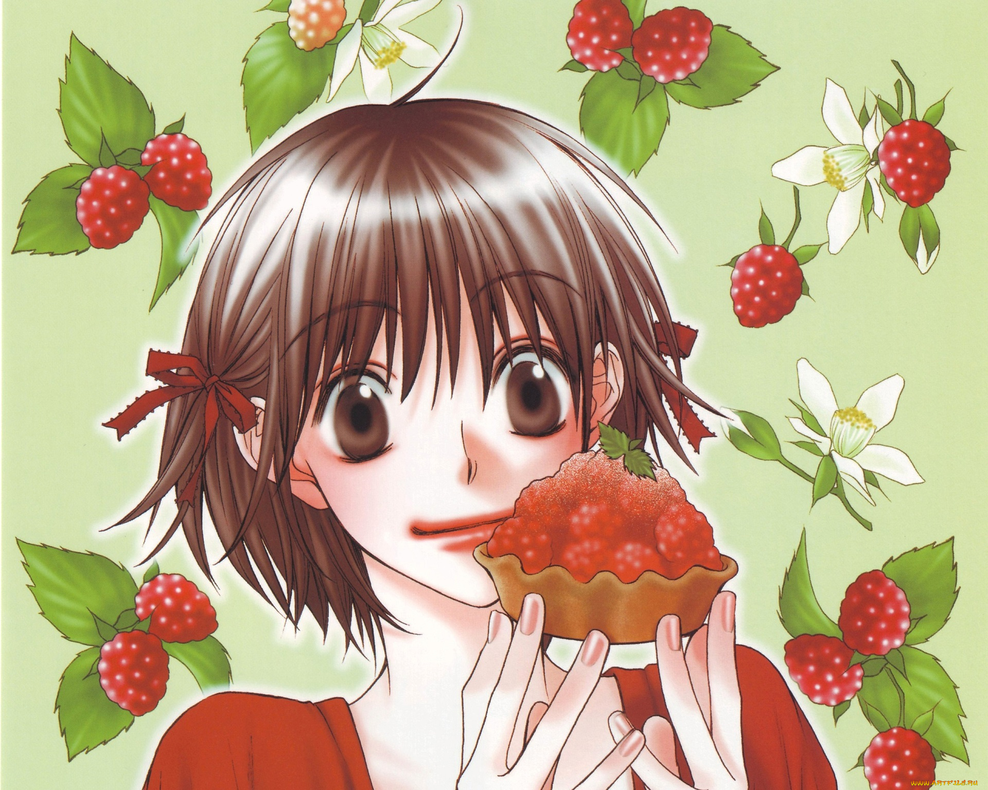 аниме, hanakimi, ashiya, mizuki