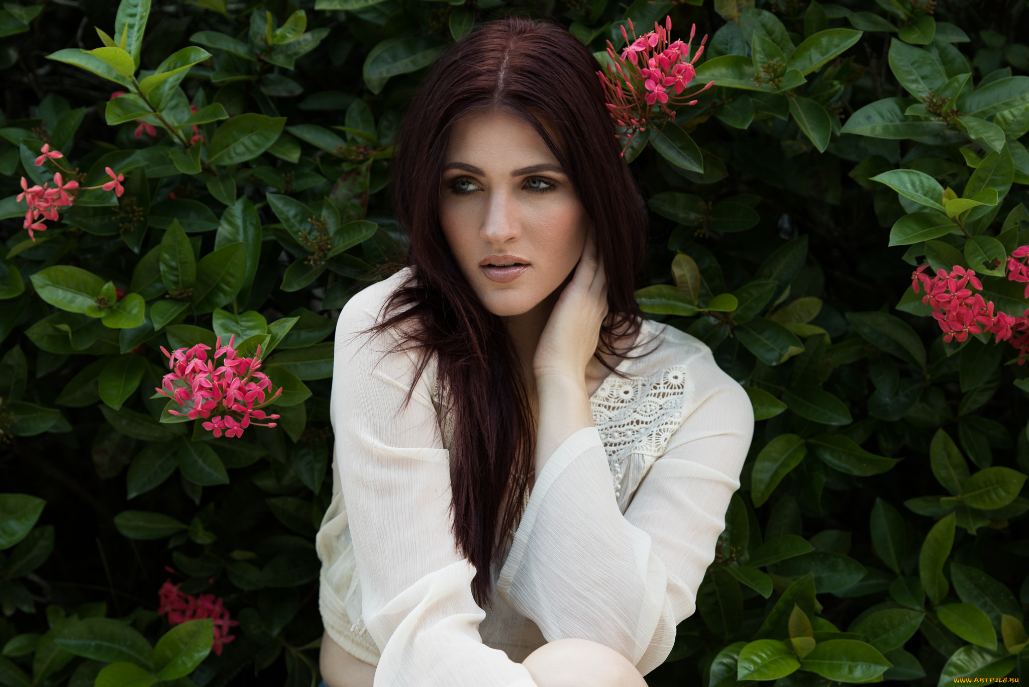 девушки, -unsort, , брюнетки, , шатенки, лицо, взгляд