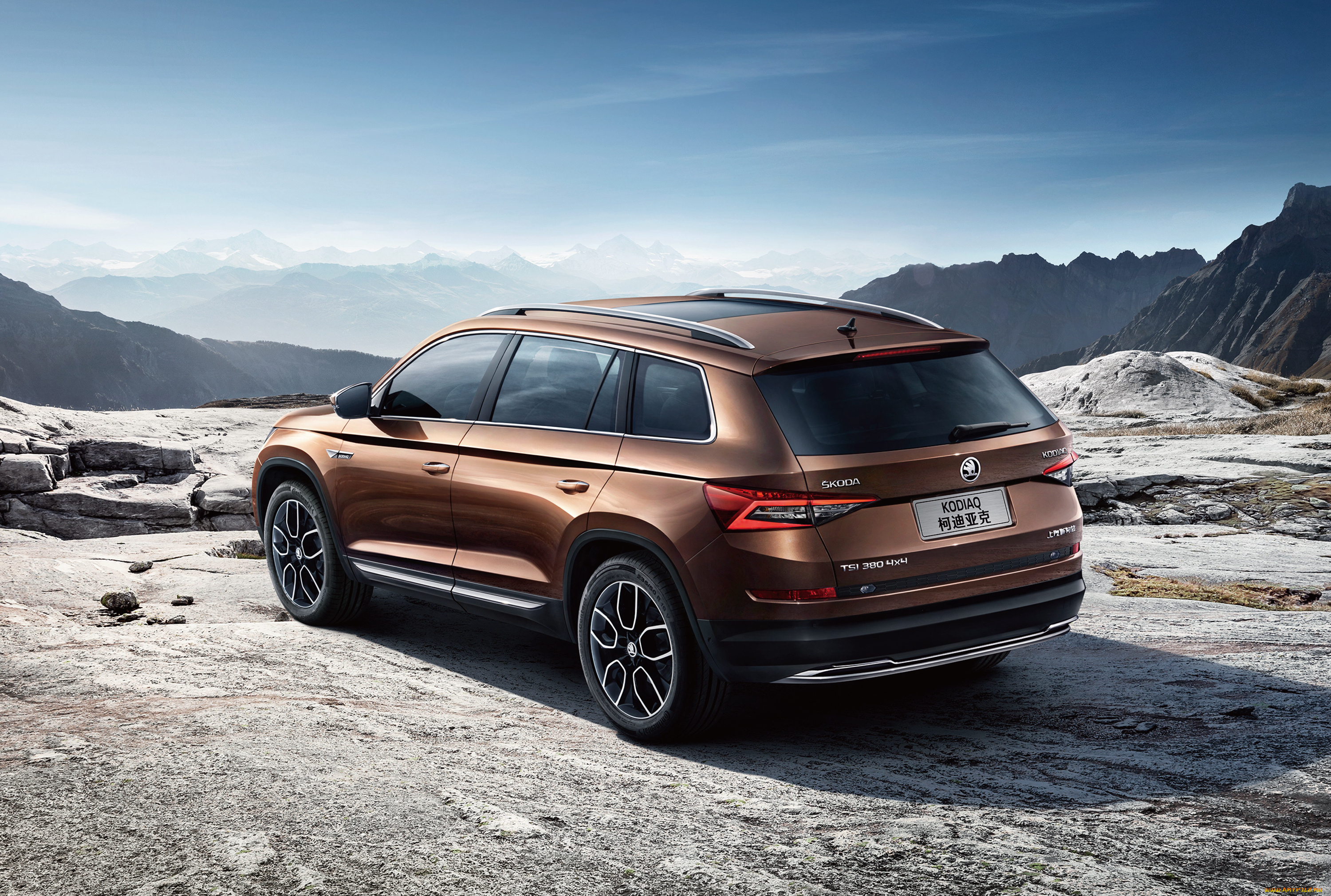 автомобили, skoda