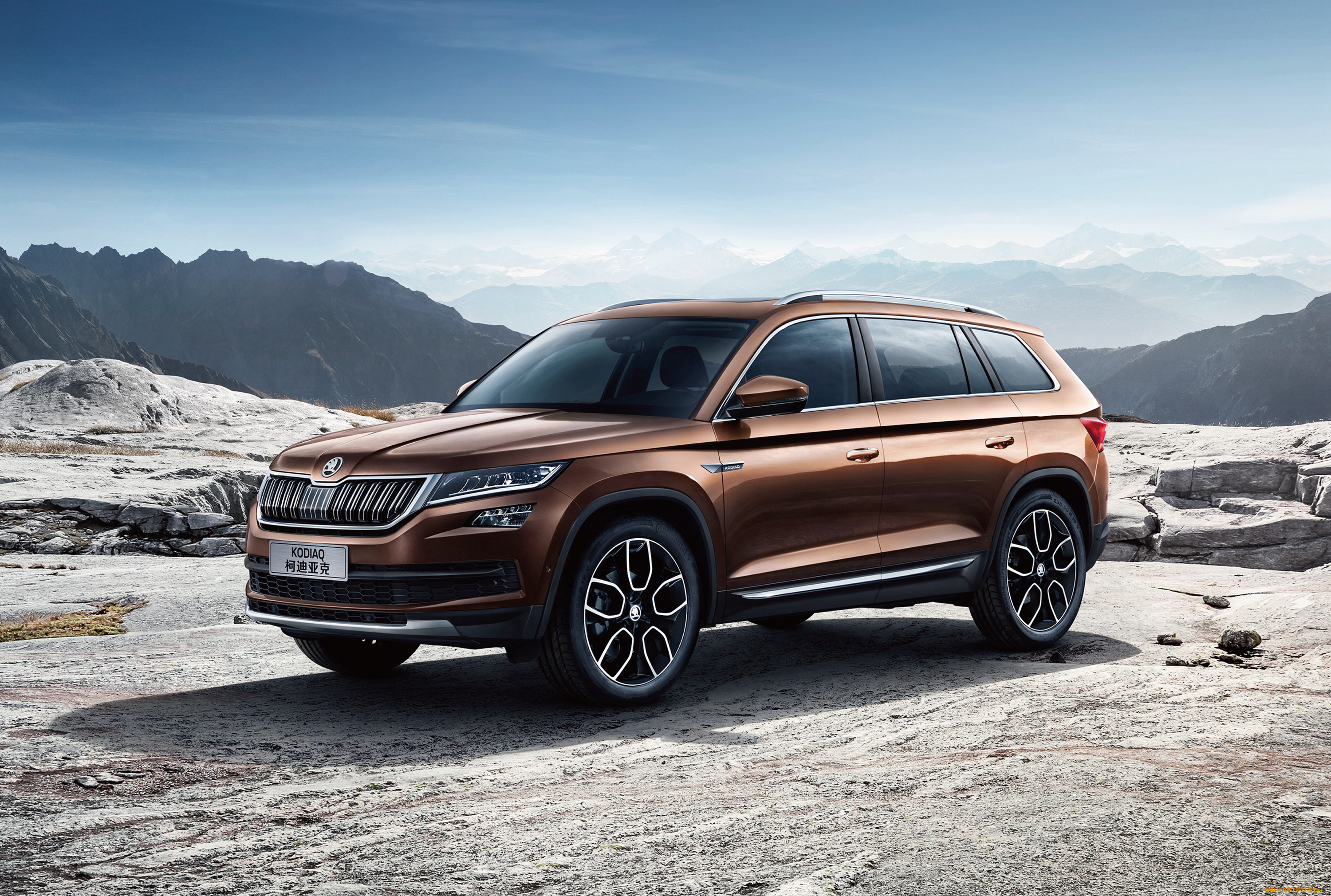 автомобили, skoda