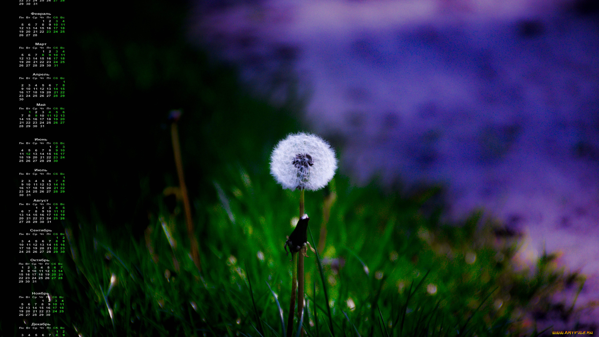 календари, цветы, одуванчик, 2018