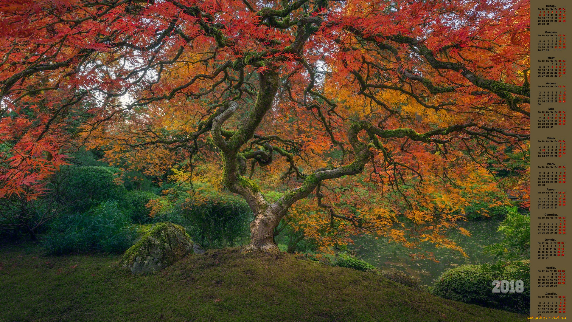 календари, природа, растения, камень, дерево, 2018