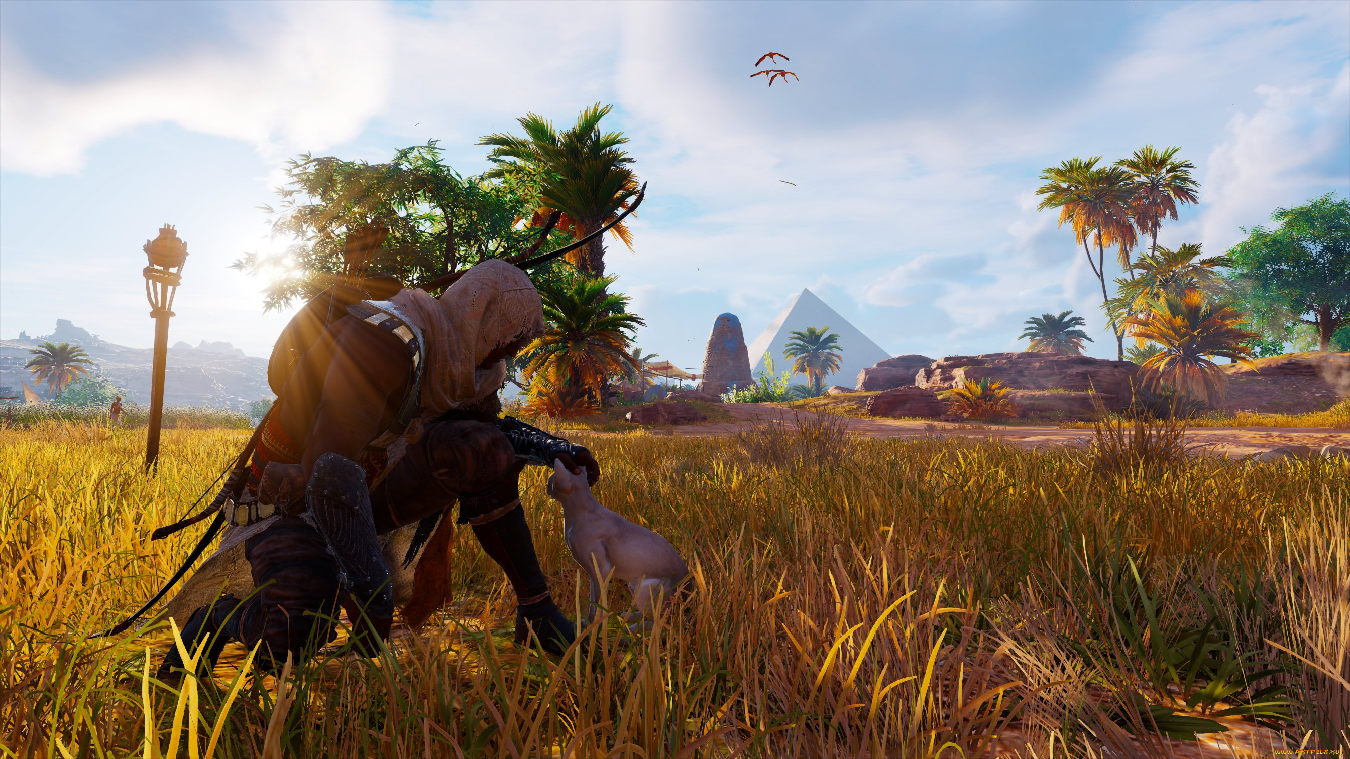 видео, игры, assassin`s, creed, , origins, assassin's, creed, origins