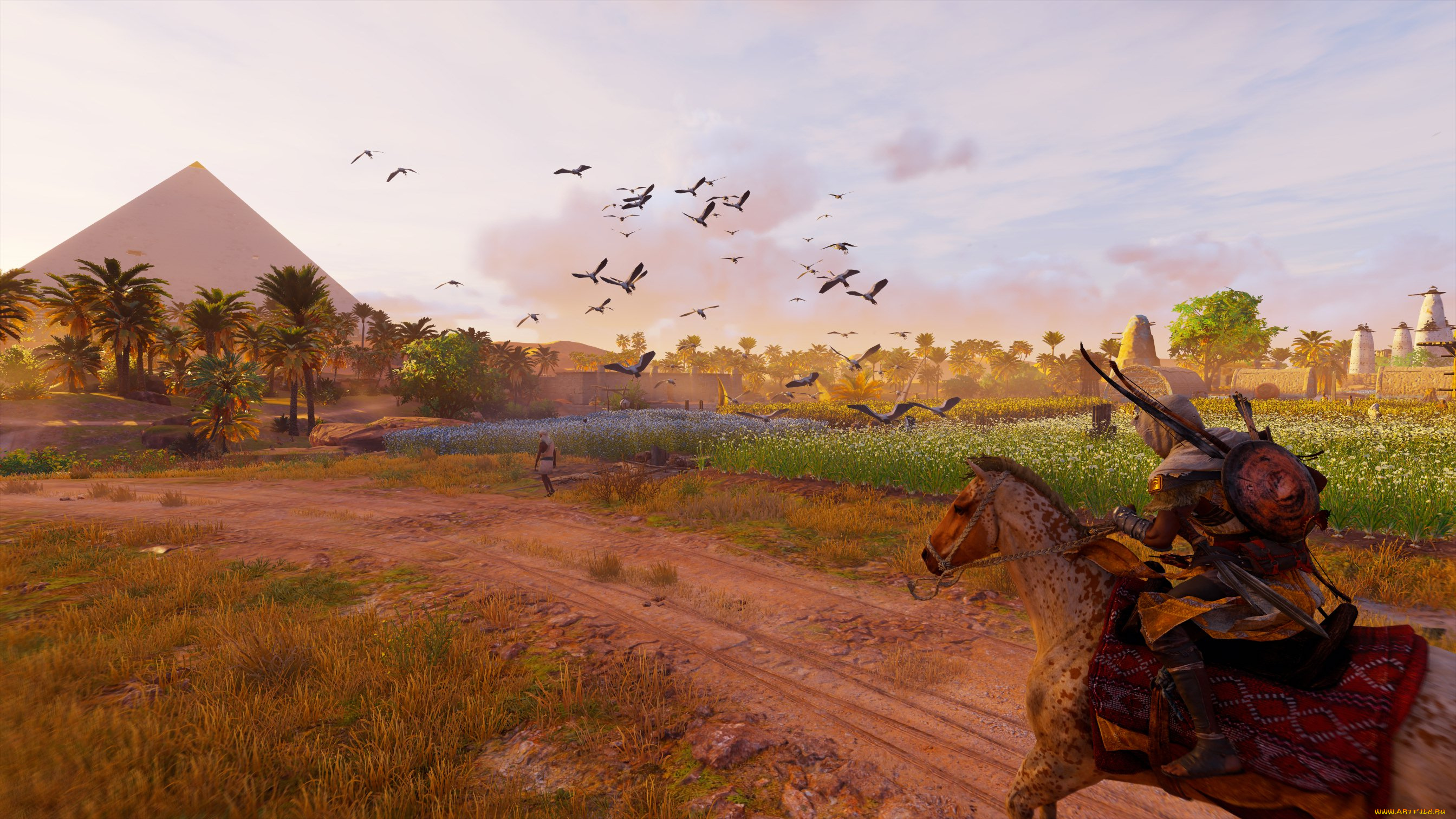 видео, игры, assassin`s, creed, , origins, assassin's, creed, origins