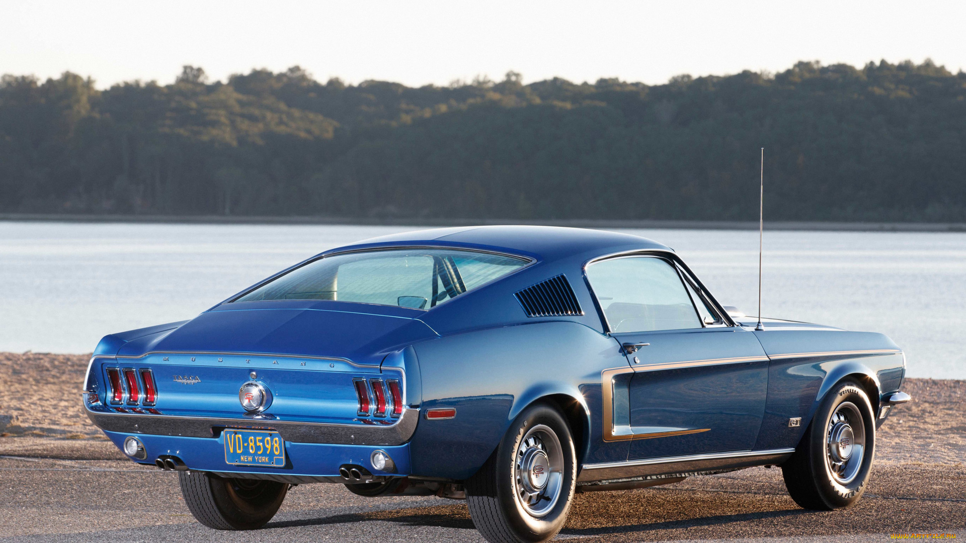 автомобили, mustang