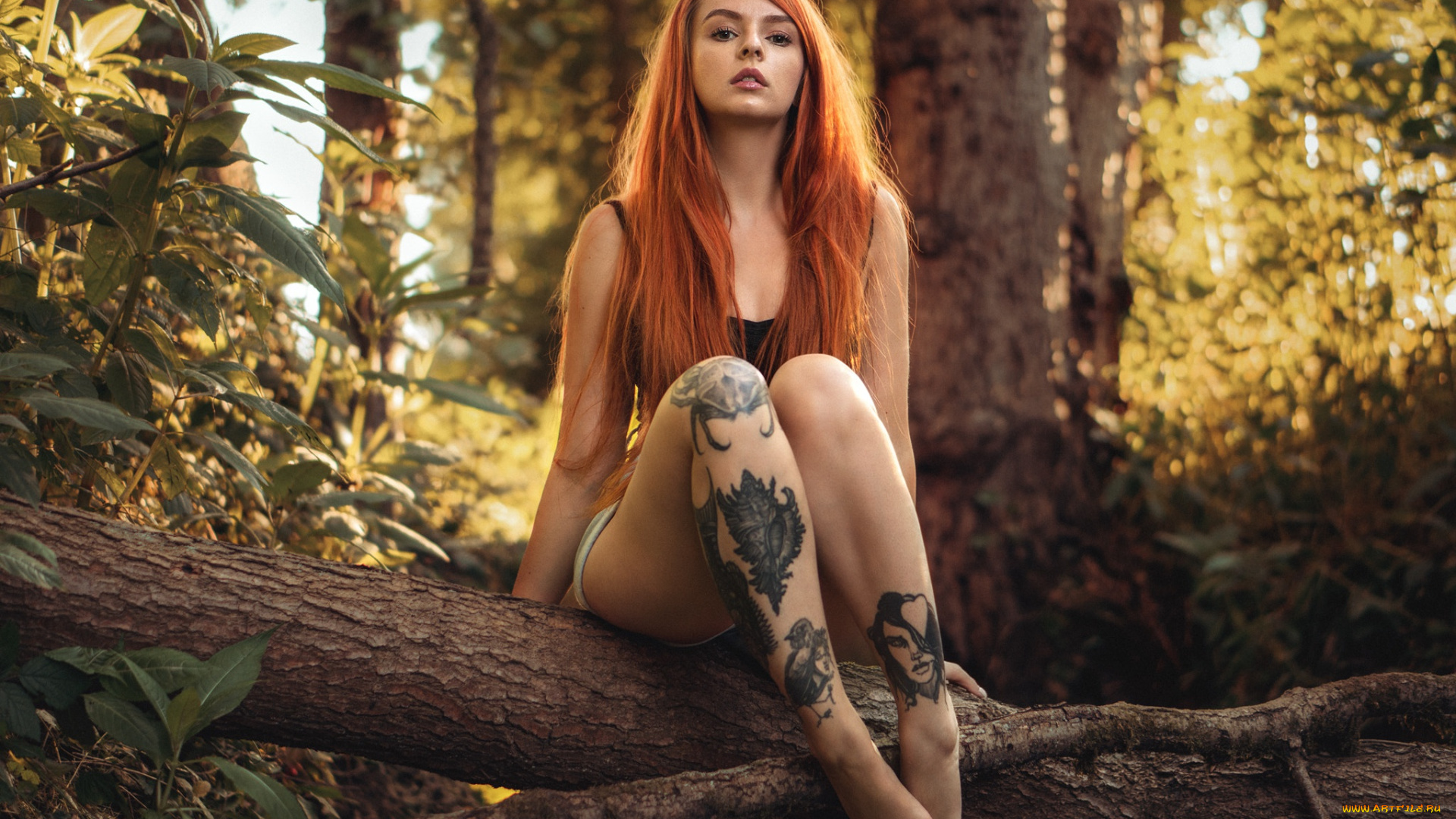 девушка, девушки, -unsort, , рыжеволосые, и, другие, модель