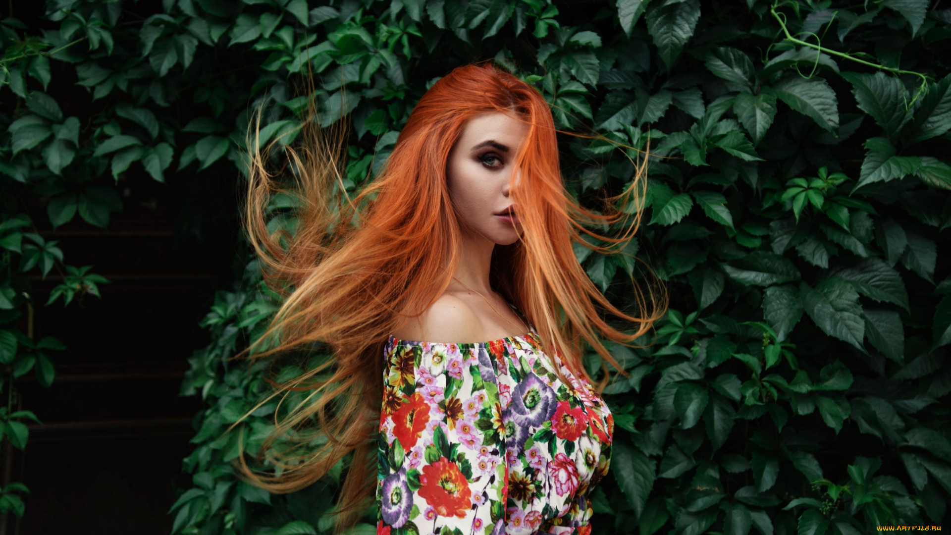 девушка, девушки, dana, bounty, модель