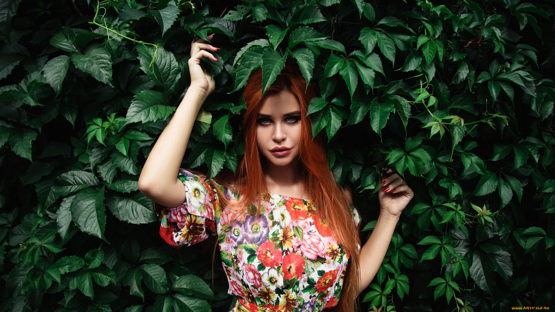 девушка, девушки, dana, bounty, модель