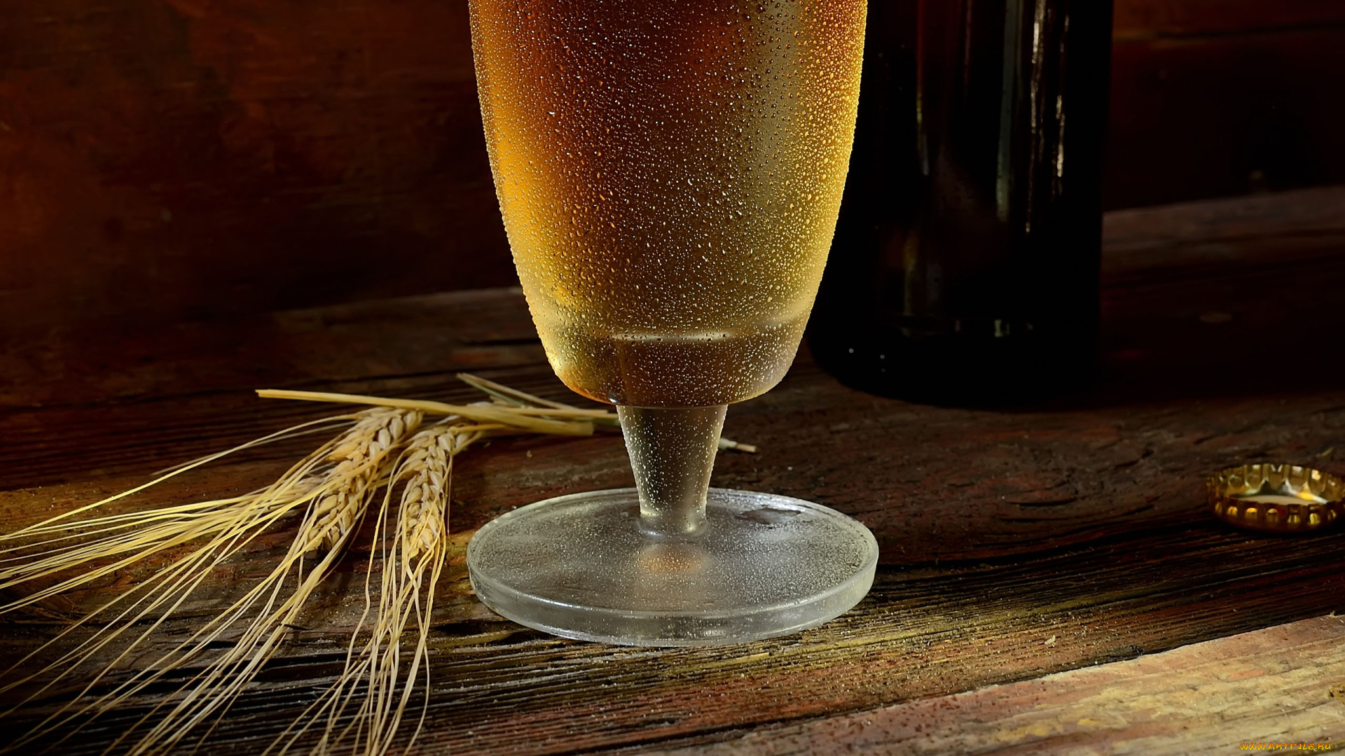 еда, напитки, , пиво, бокал, пиво, ячмень, колос