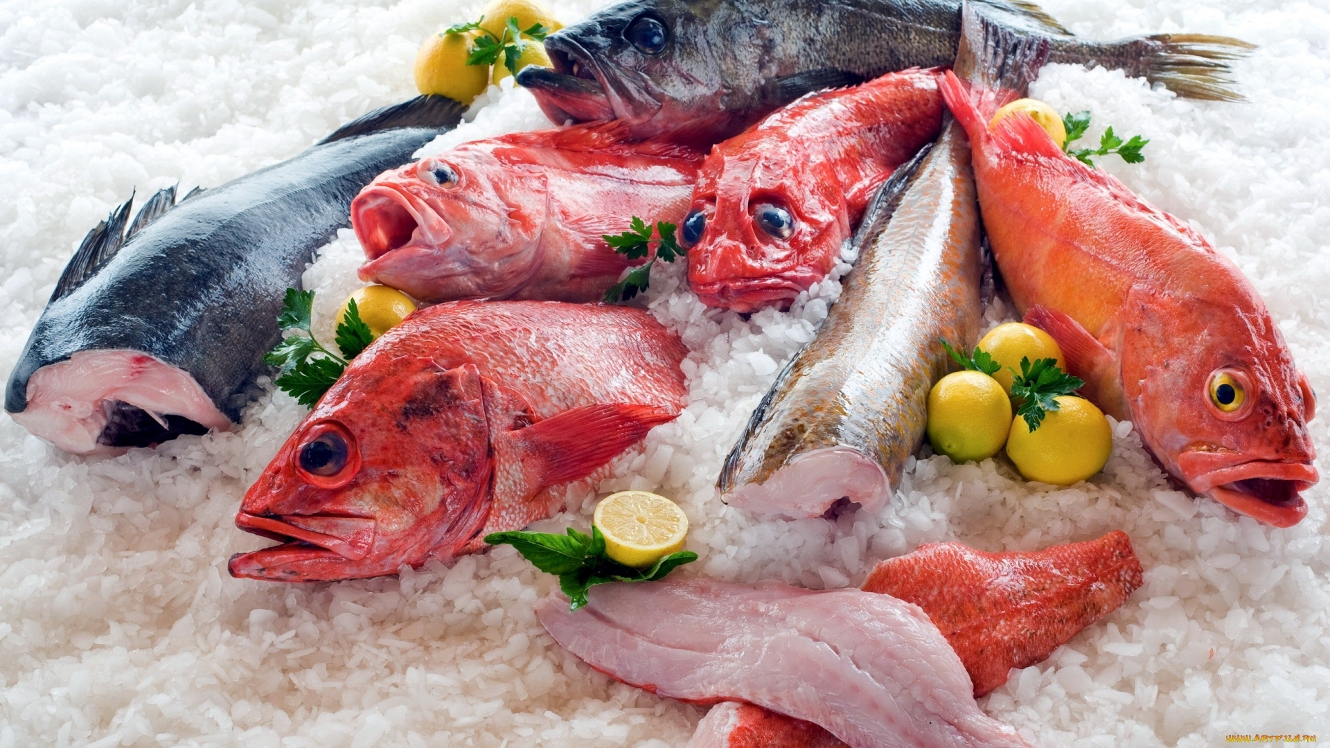 еда, рыба, , морепродукты, , суши, , роллы, свежая, лед, ассорти