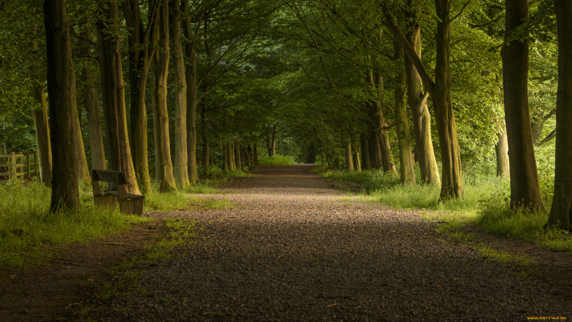 природа, дороги, простор