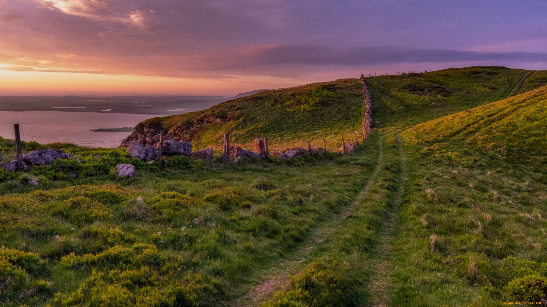 природа, дороги, простор