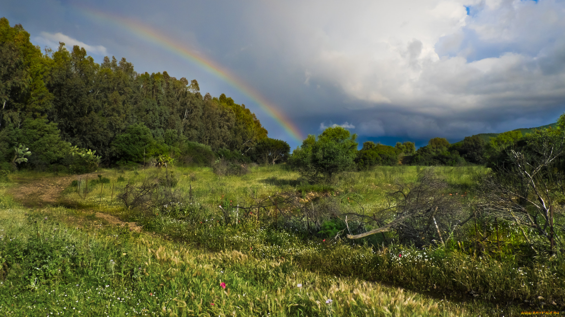 природа, пейзажи, простор