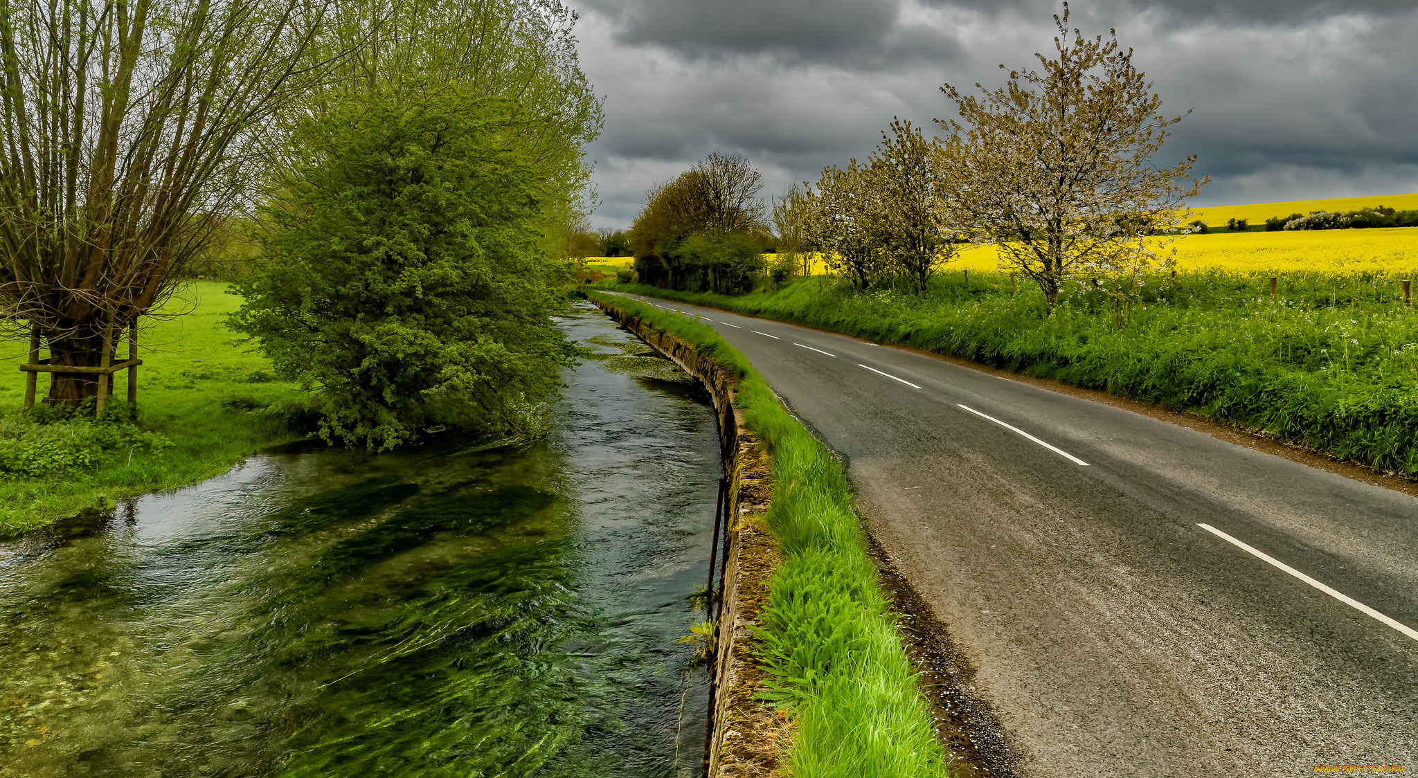 природа, дороги, простор