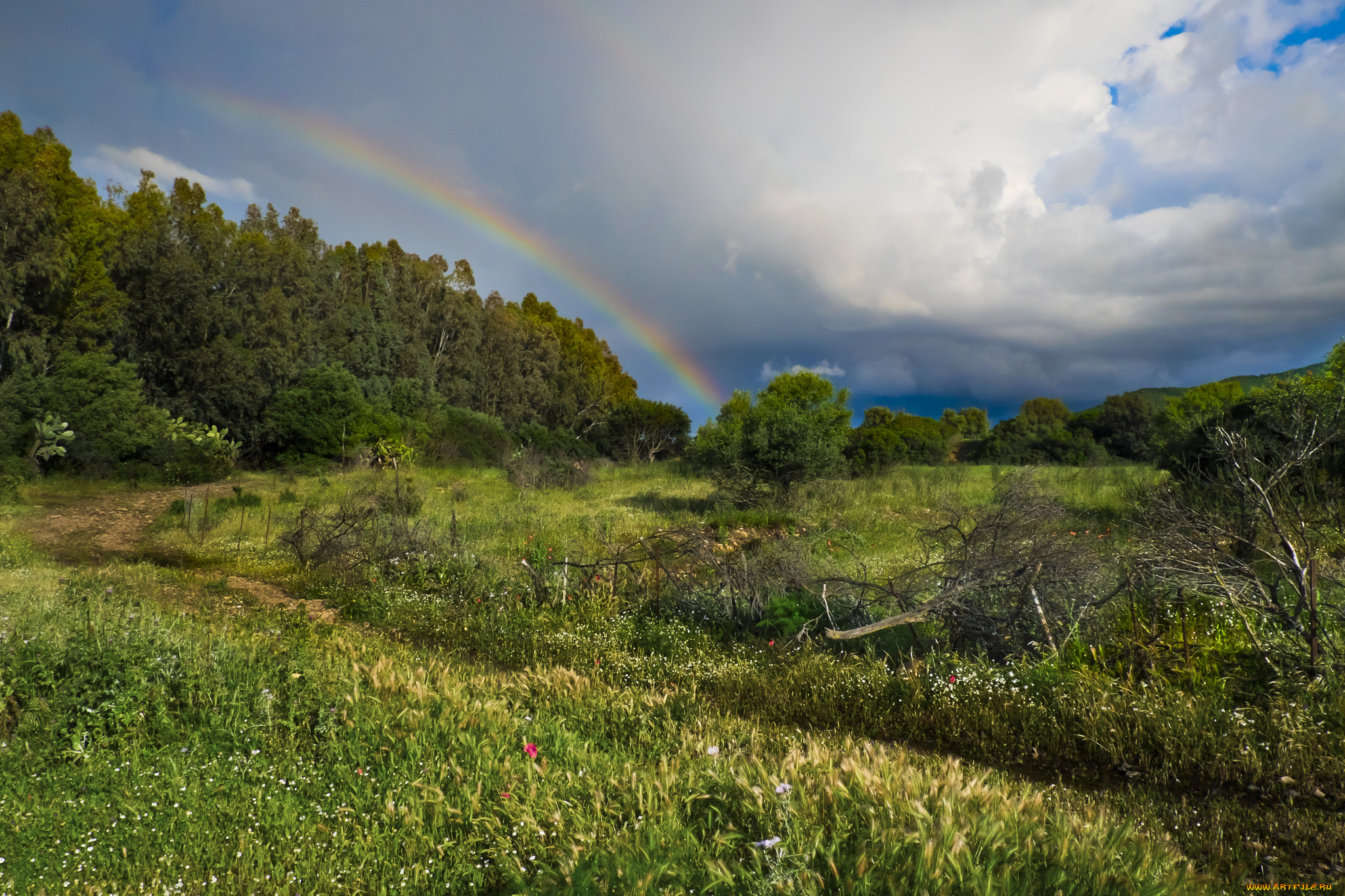 природа, пейзажи, простор