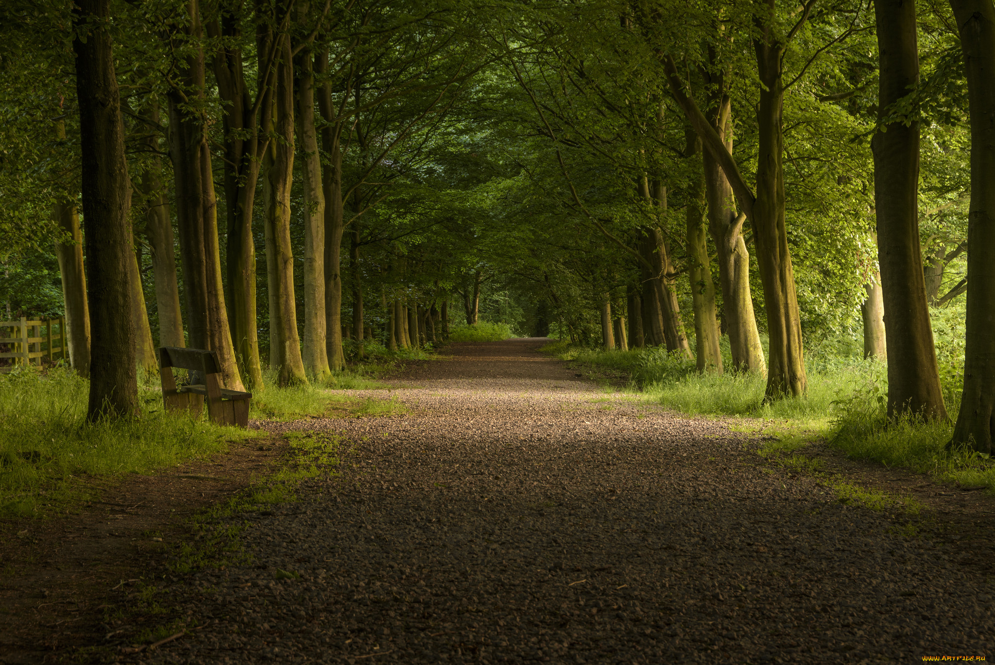 природа, дороги, простор