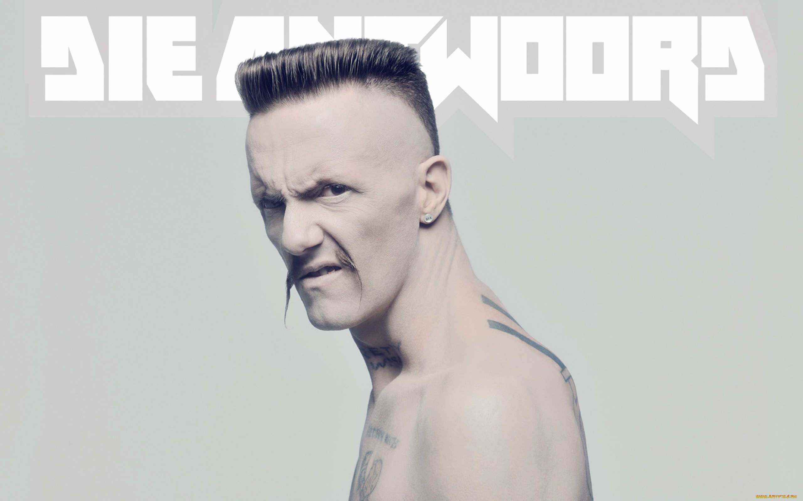 die, antwoord, музыка, музыкант