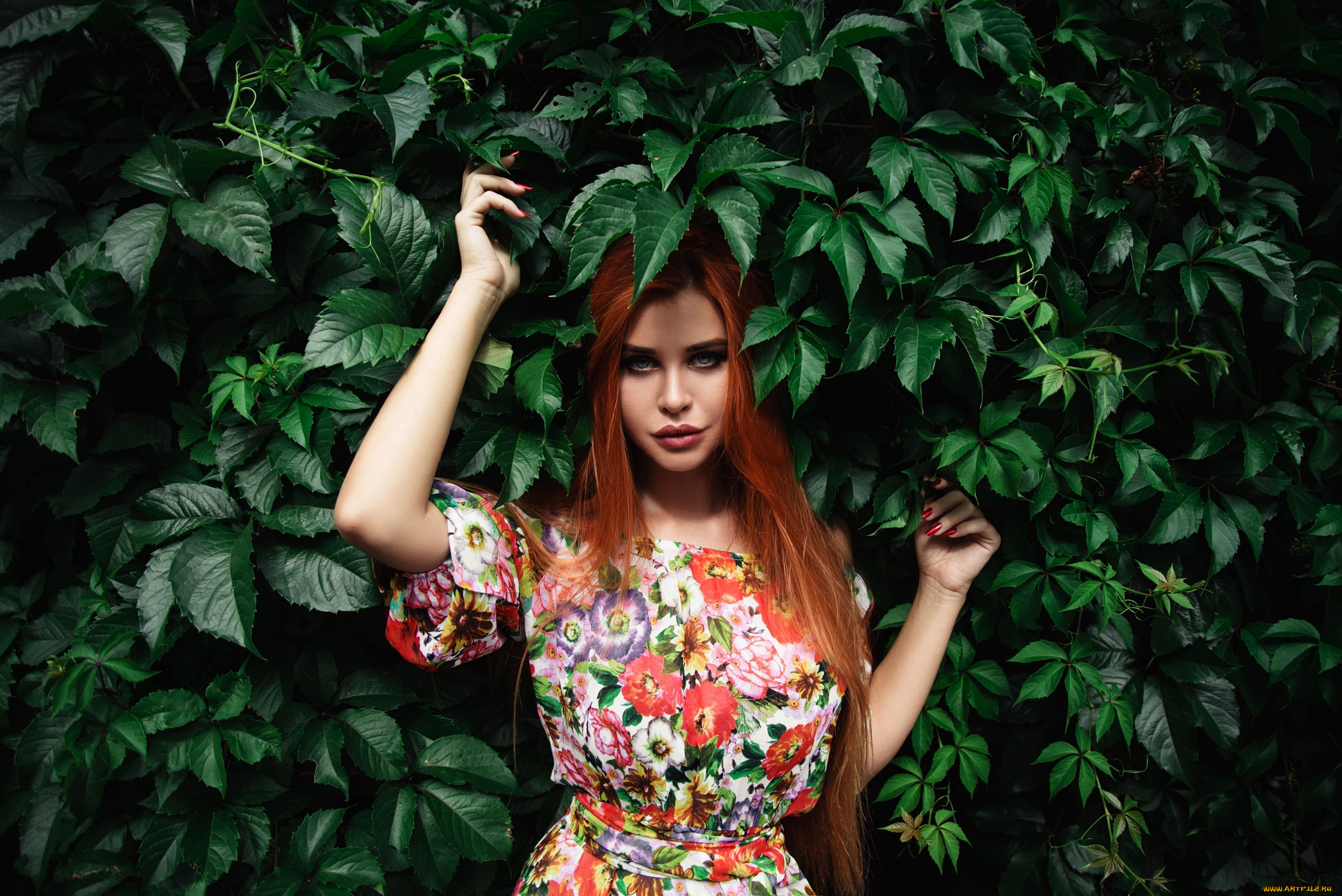 девушка, девушки, dana, bounty, модель