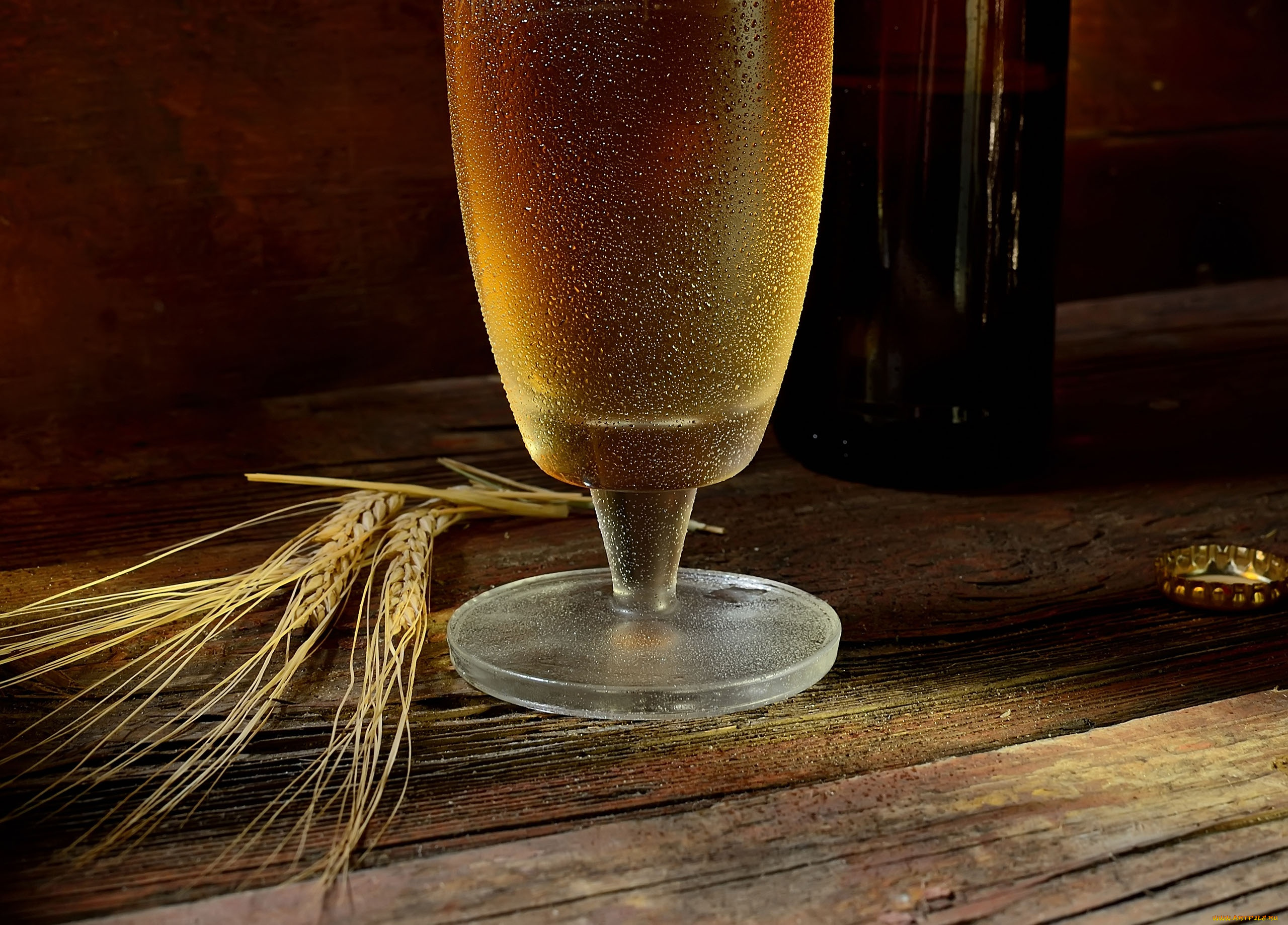 еда, напитки, , пиво, бокал, пиво, ячмень, колос