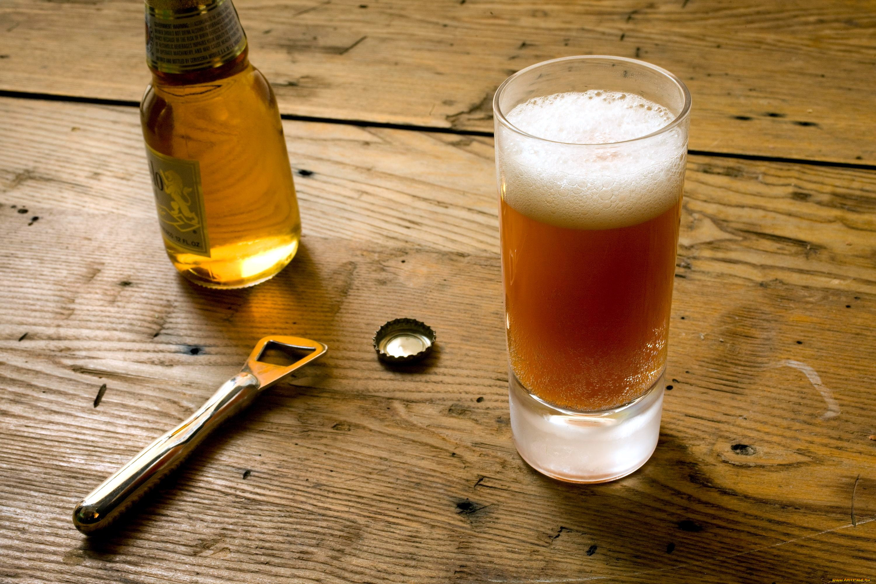 еда, напитки, , пиво, бокал, пиво, пена