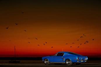 Картинка автомобили mustang