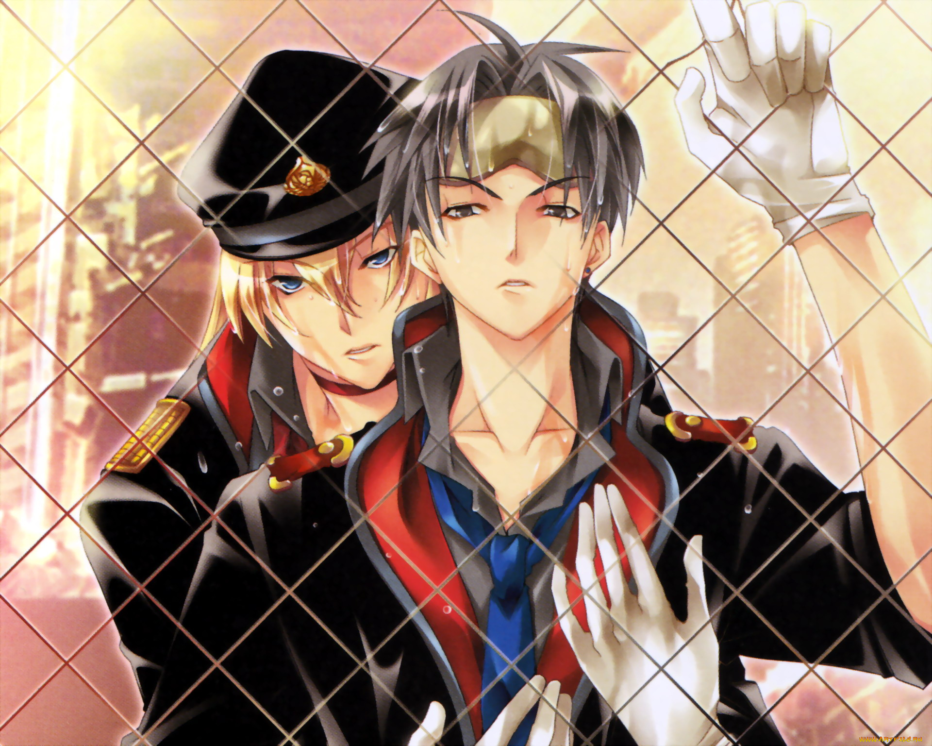 видео, игры, absolute, obedience, решетка, киа, велбехенна, луиз, хардвич