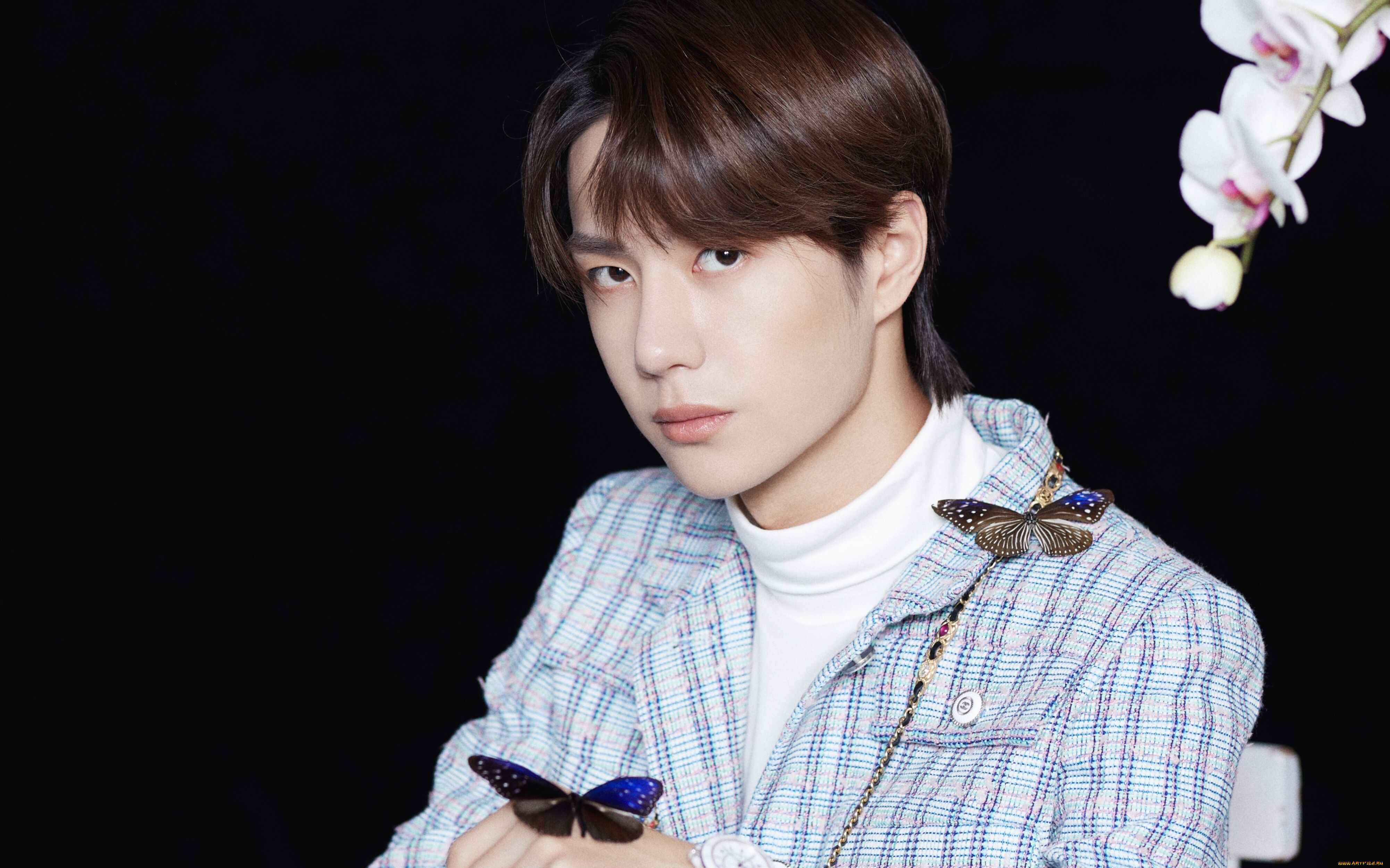 мужчины, wang, yi, bo, ван, ибо, wang, yi, bo