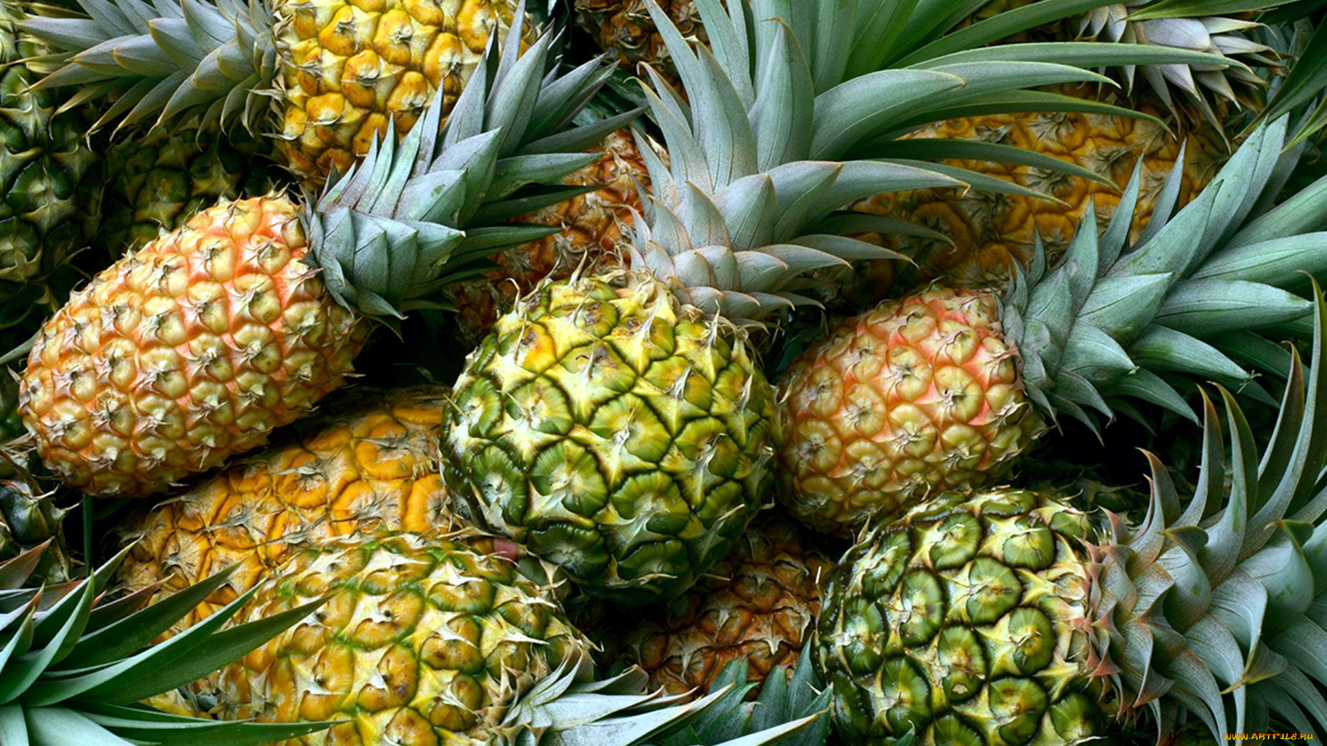 еда, ананас, ананасы, экзотические, фрукты