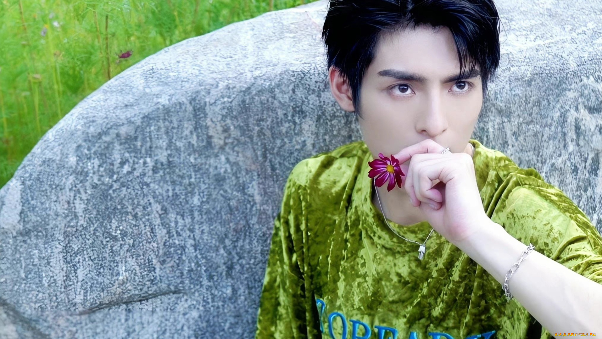 мужчины, wang, hao, xuan, ван, хао, сюань