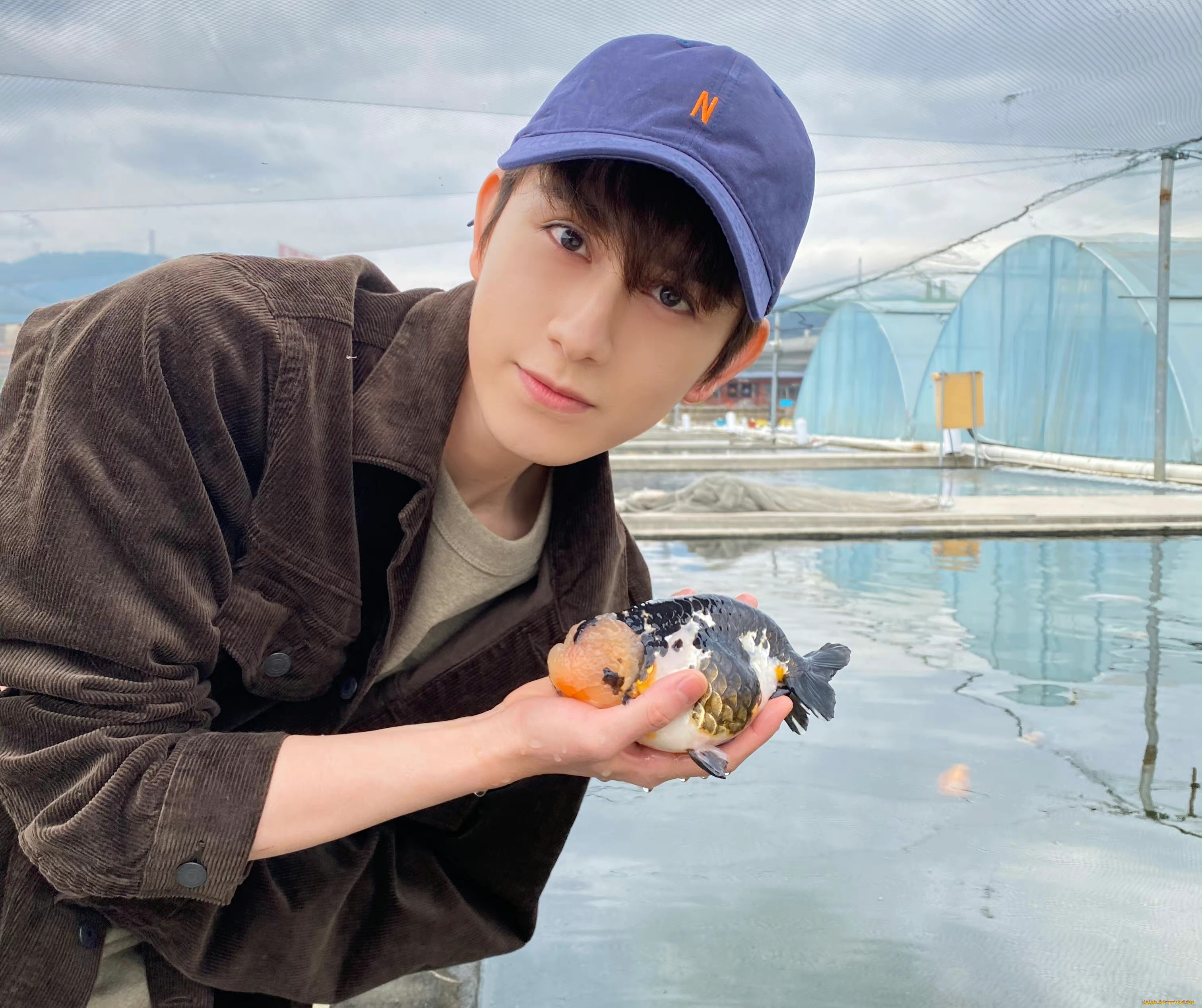 мужчины, zhu, zanjin, чжу, цзань, цзинь