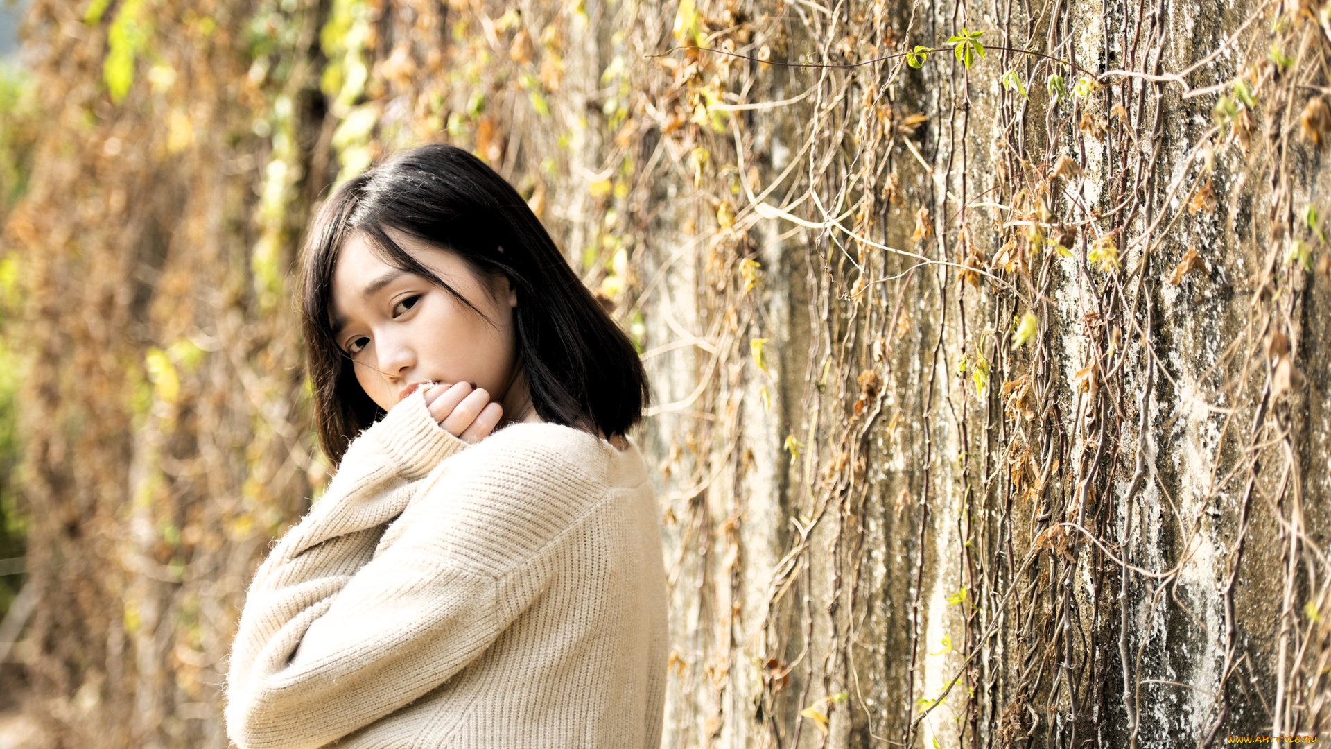 девушки, -, азиатки, брюнетка, свитер, стена, растения, ветки