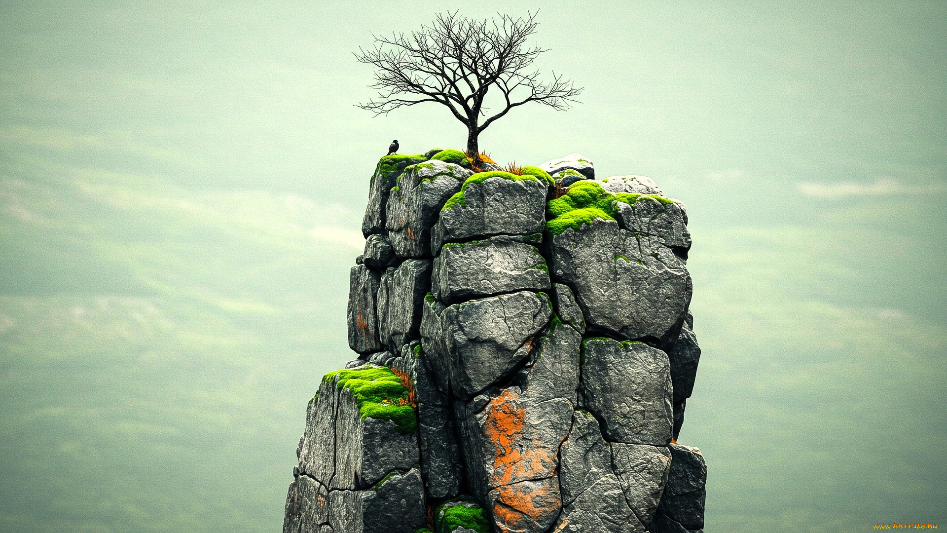 природа, горы, дерево, мох, скала, птица, небо, туман