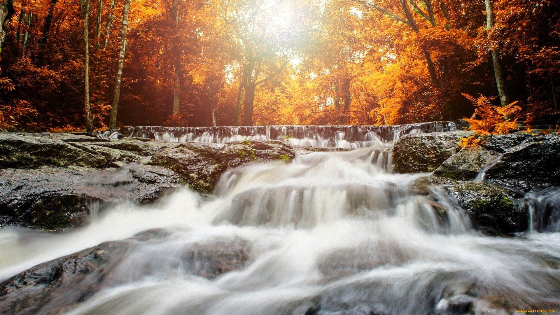 природа, водопады, лес, осень, деревья, водопад, камни