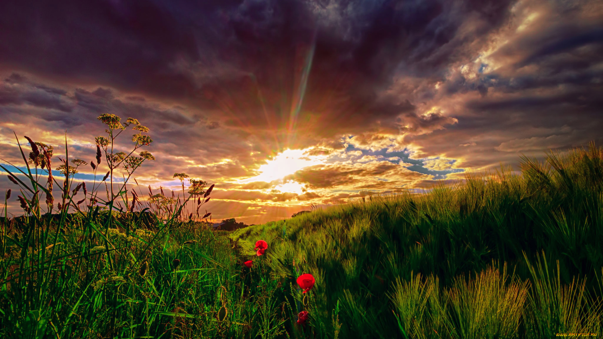 природа, восходы, закаты, закат, рассвет