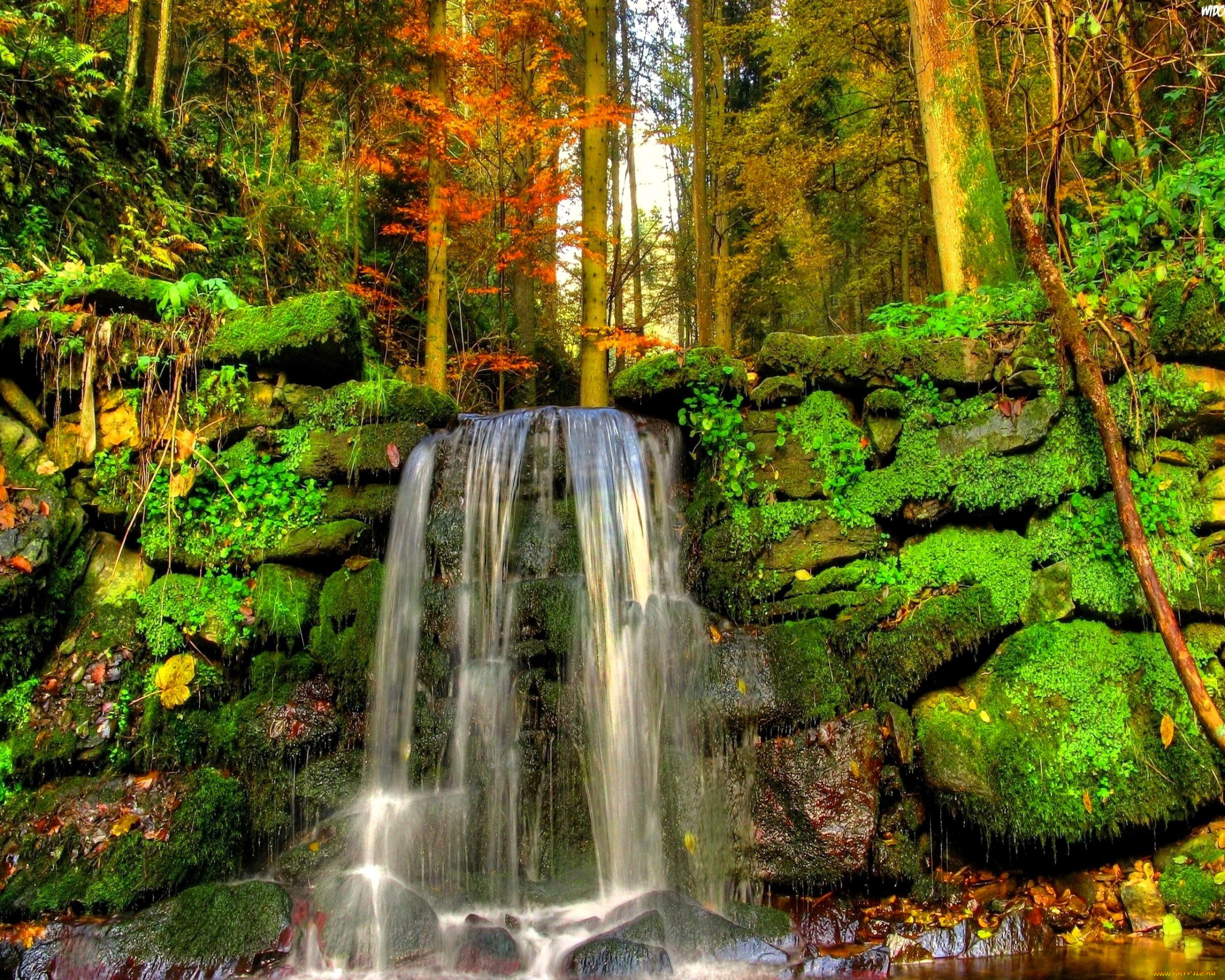 природа, водопады, лес, деревья, водопад, камни, мох, листья