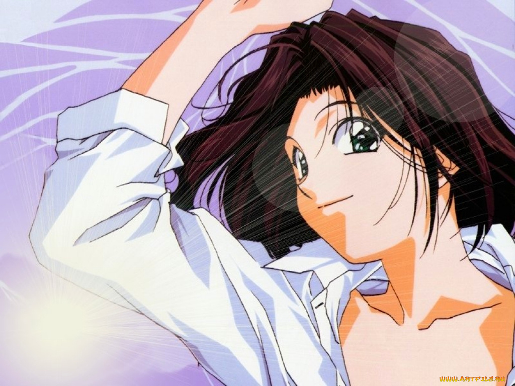 аниме, you`re, under, arrest