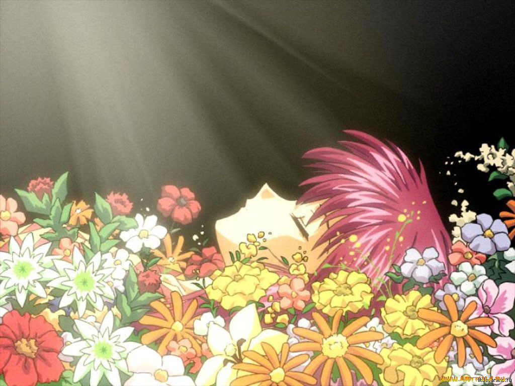 аниме, sister, princess