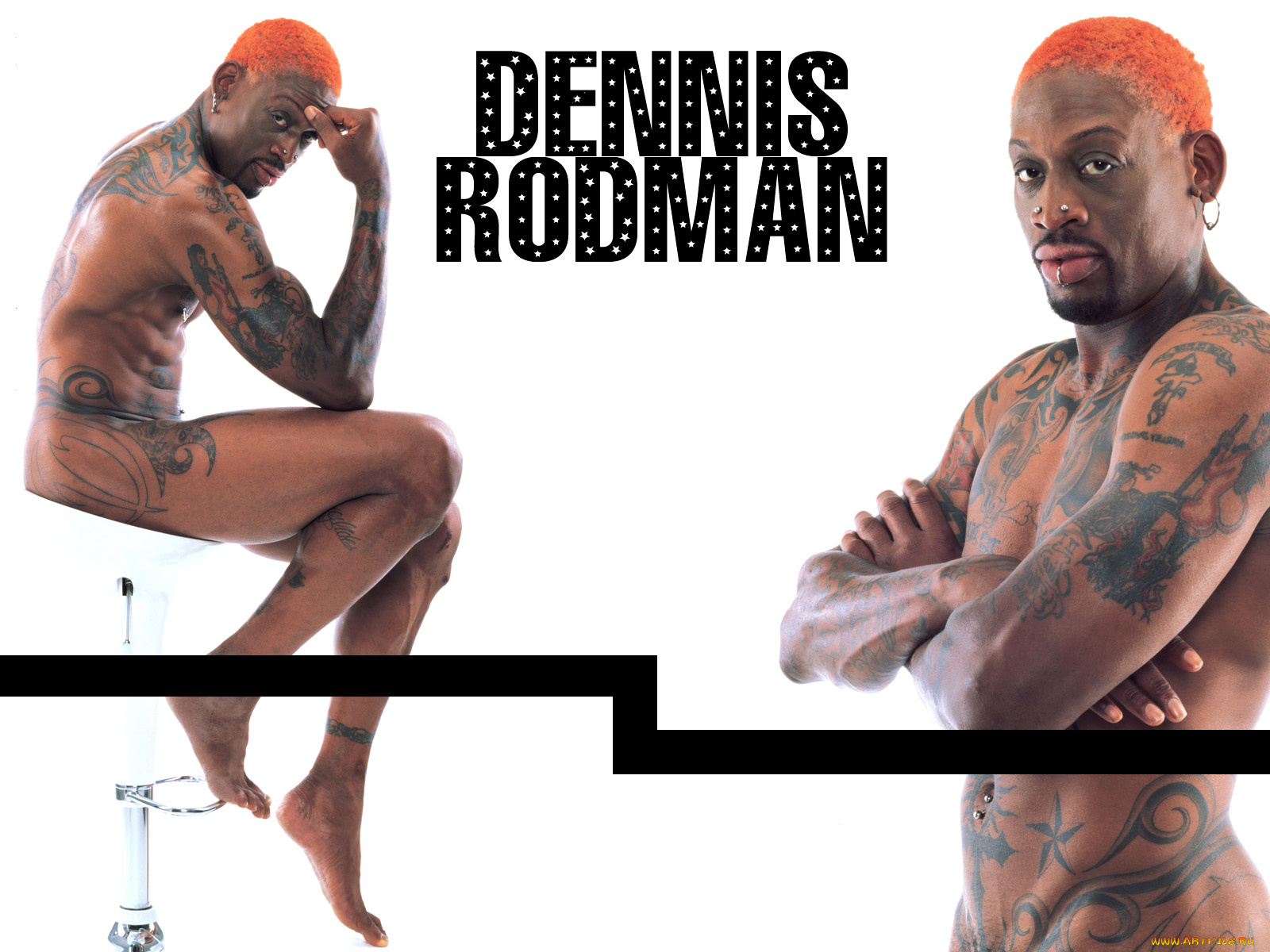 мужчины, dennis, rodman