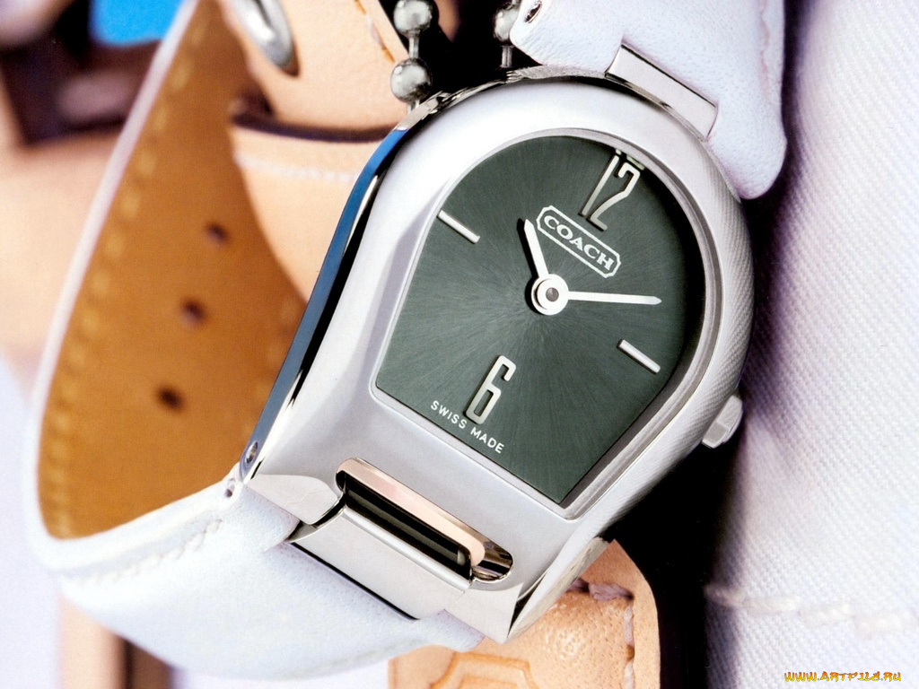бренды, coach