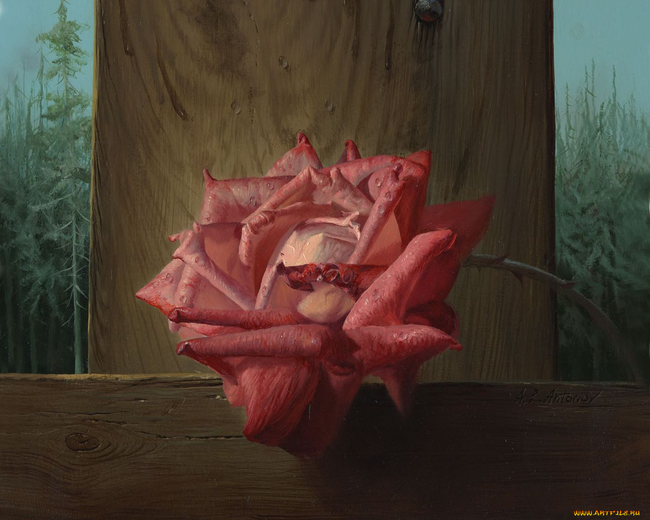 рисованные, цветы